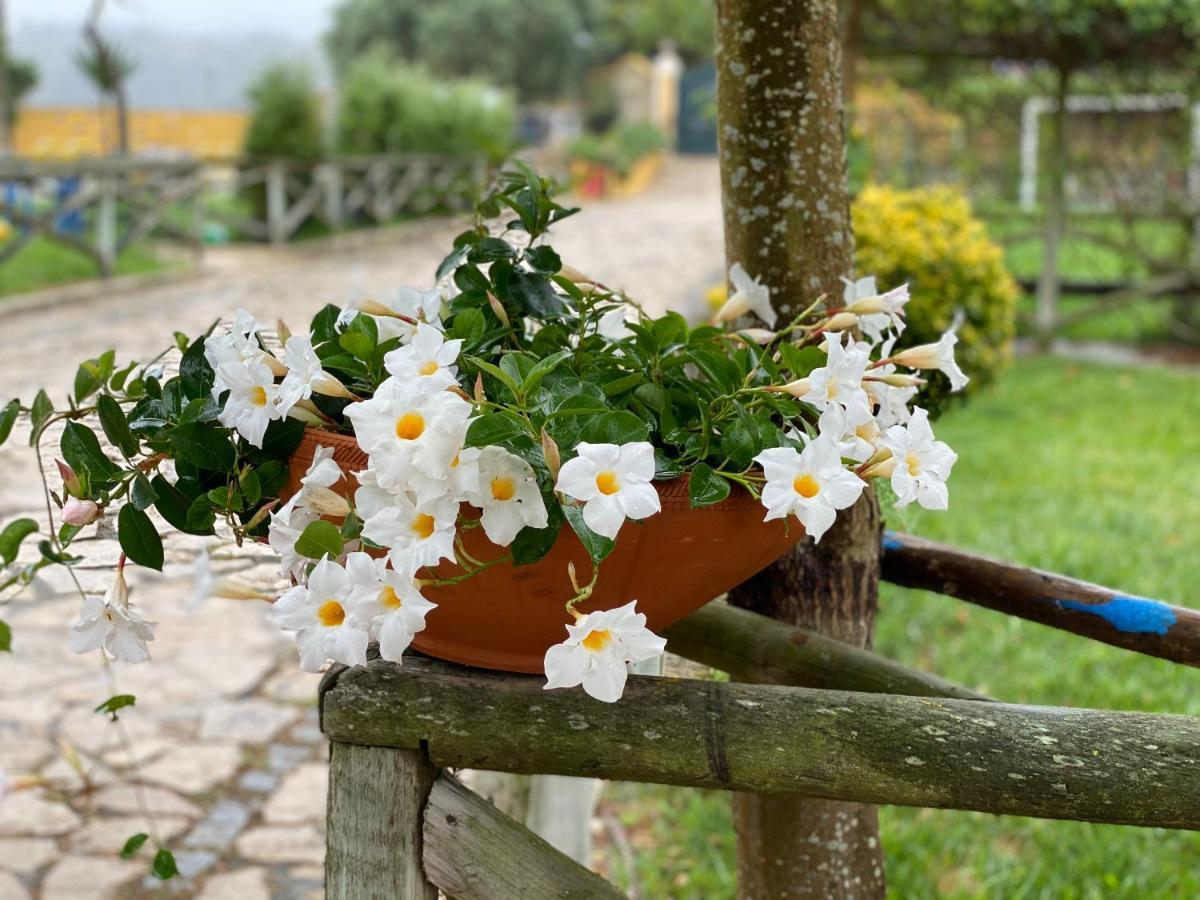Charm Azenha Dobidos Farm Villa Olho Marinho ภายนอก รูปภาพ