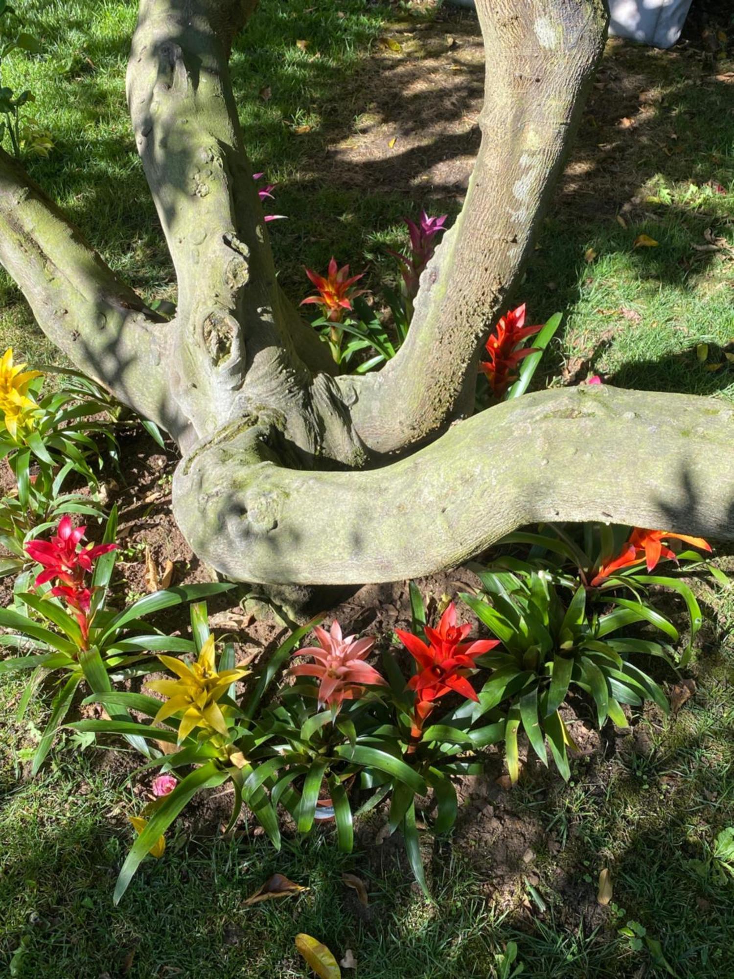 Charm Azenha Dobidos Farm Villa Olho Marinho ภายนอก รูปภาพ